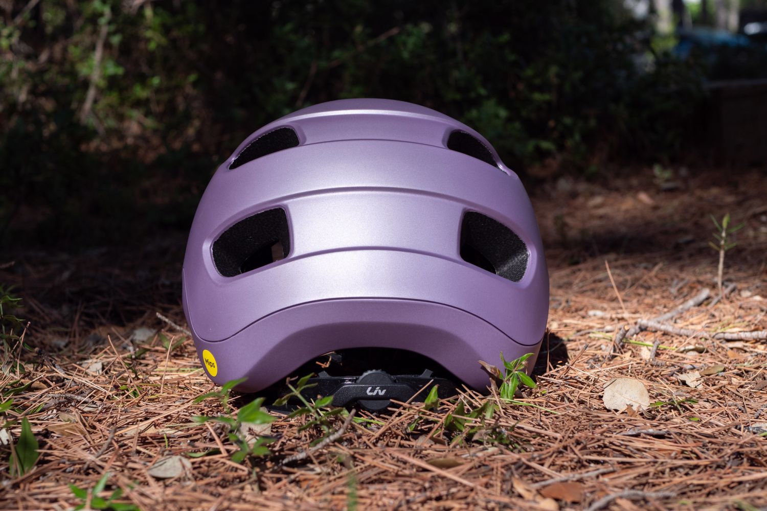 Liv Roost MIPS Bike Helmet - Air Glow - rear view