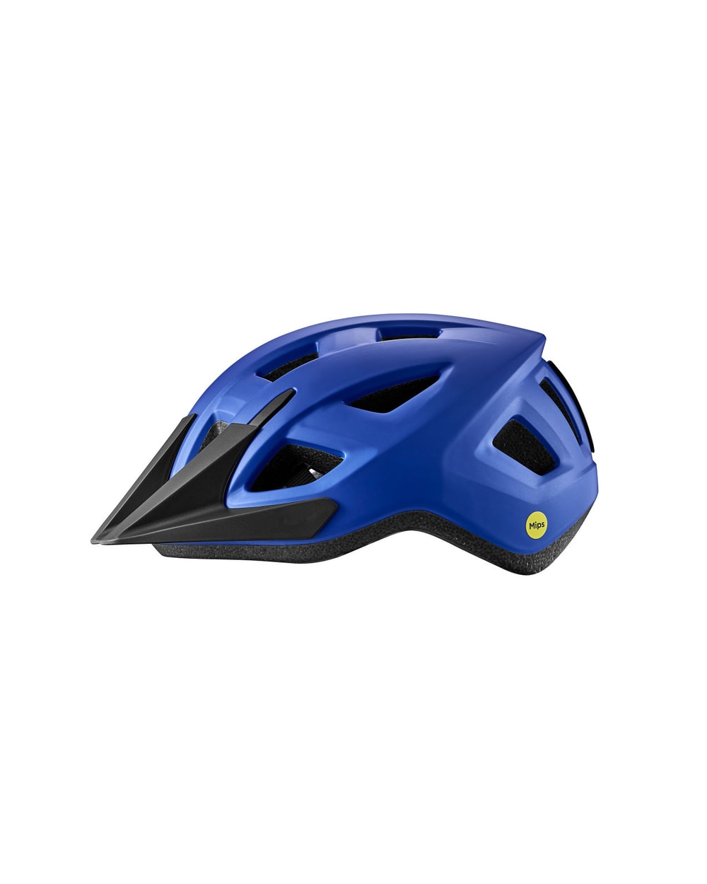 Giant Youth Path ARX Helmet