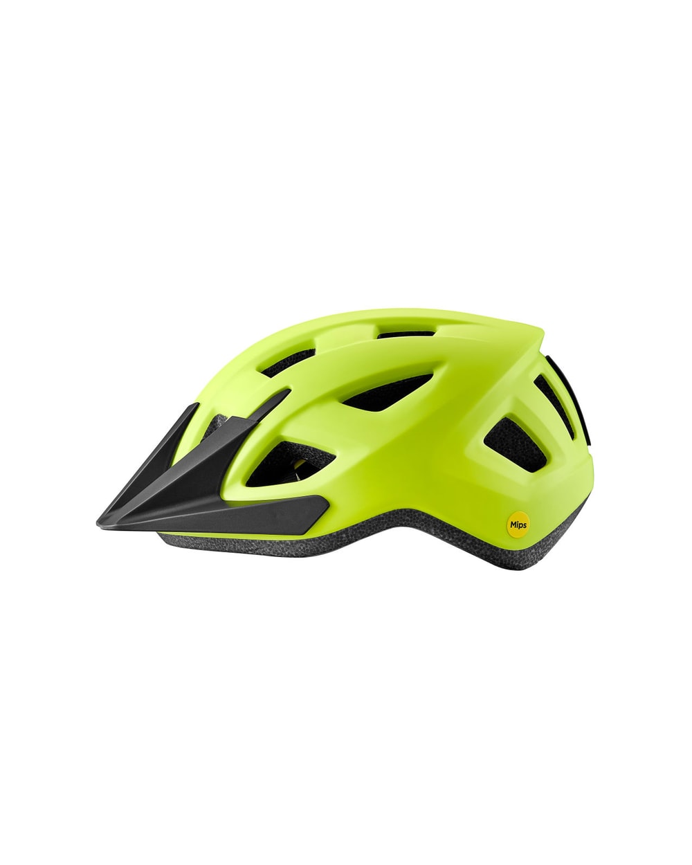 Giant Youth Path ARX Helmet