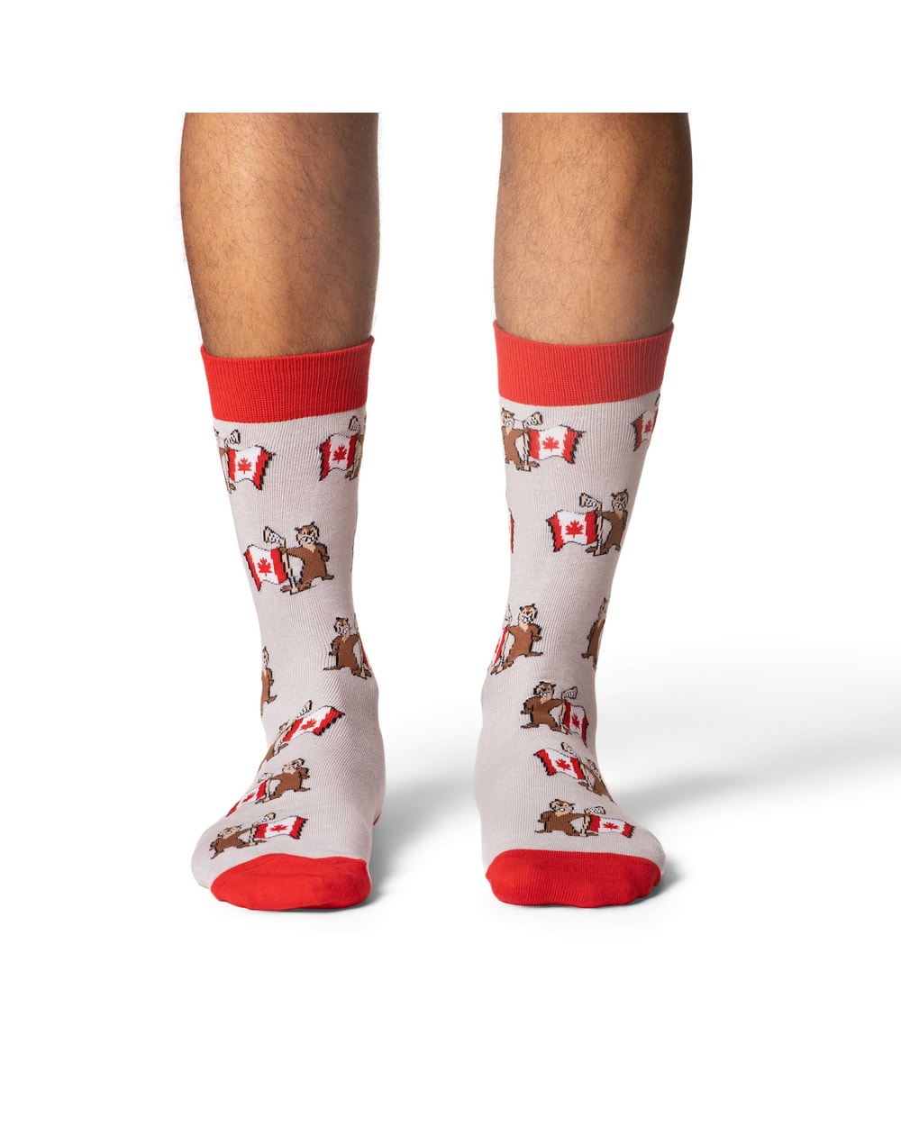 Good Luck Sock Men's Beaver Waving Canada Flag Socks