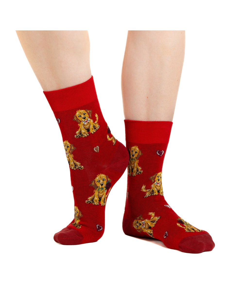 Good Luck Sock Puppy Love Socks worn