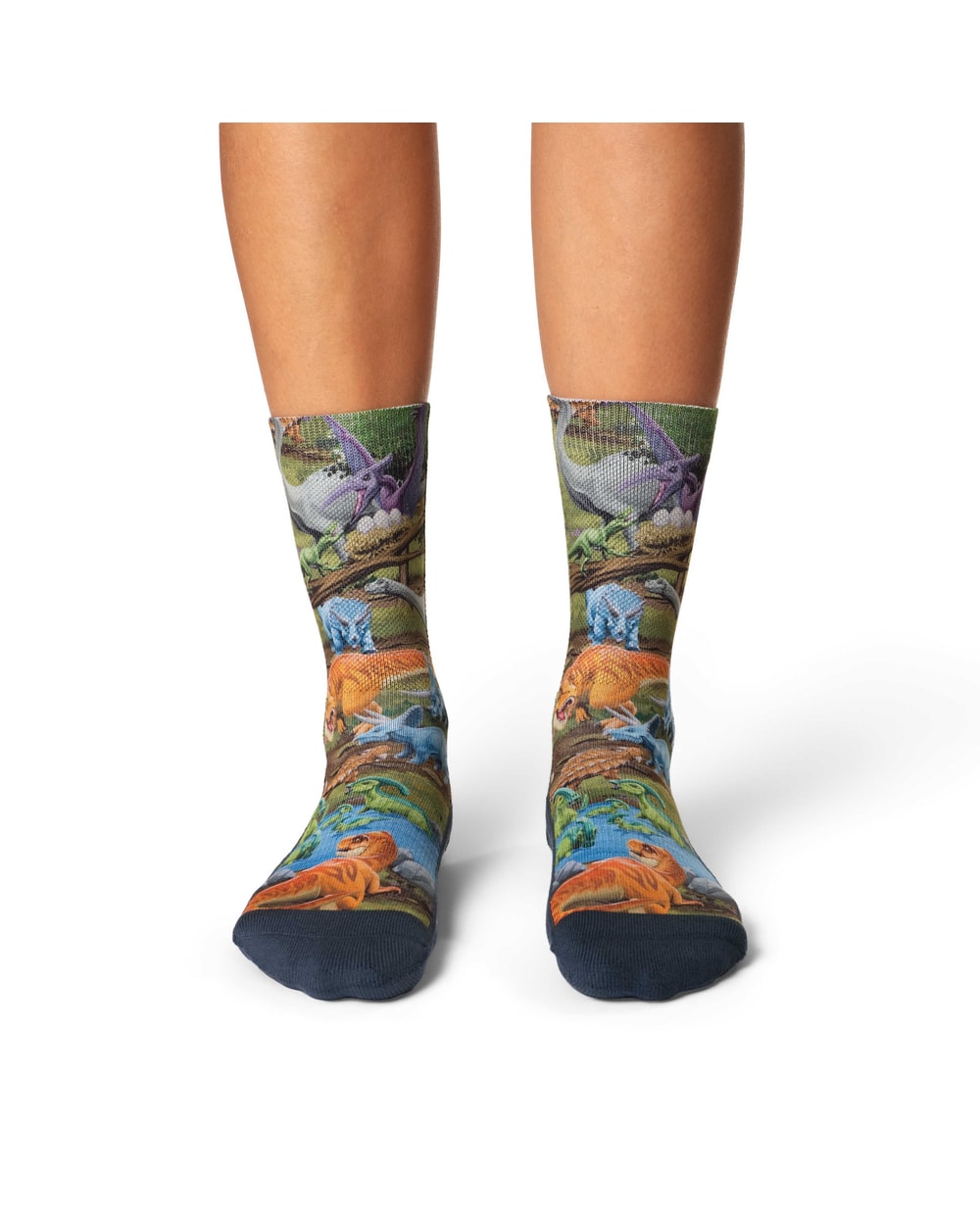 Good Luck Sock Women's Dinosaur World Socks