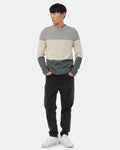 Tentree Highline Block Sweater - Grey - front