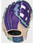 Rawlins Heart of the Hide R2G Glove - 12.75"