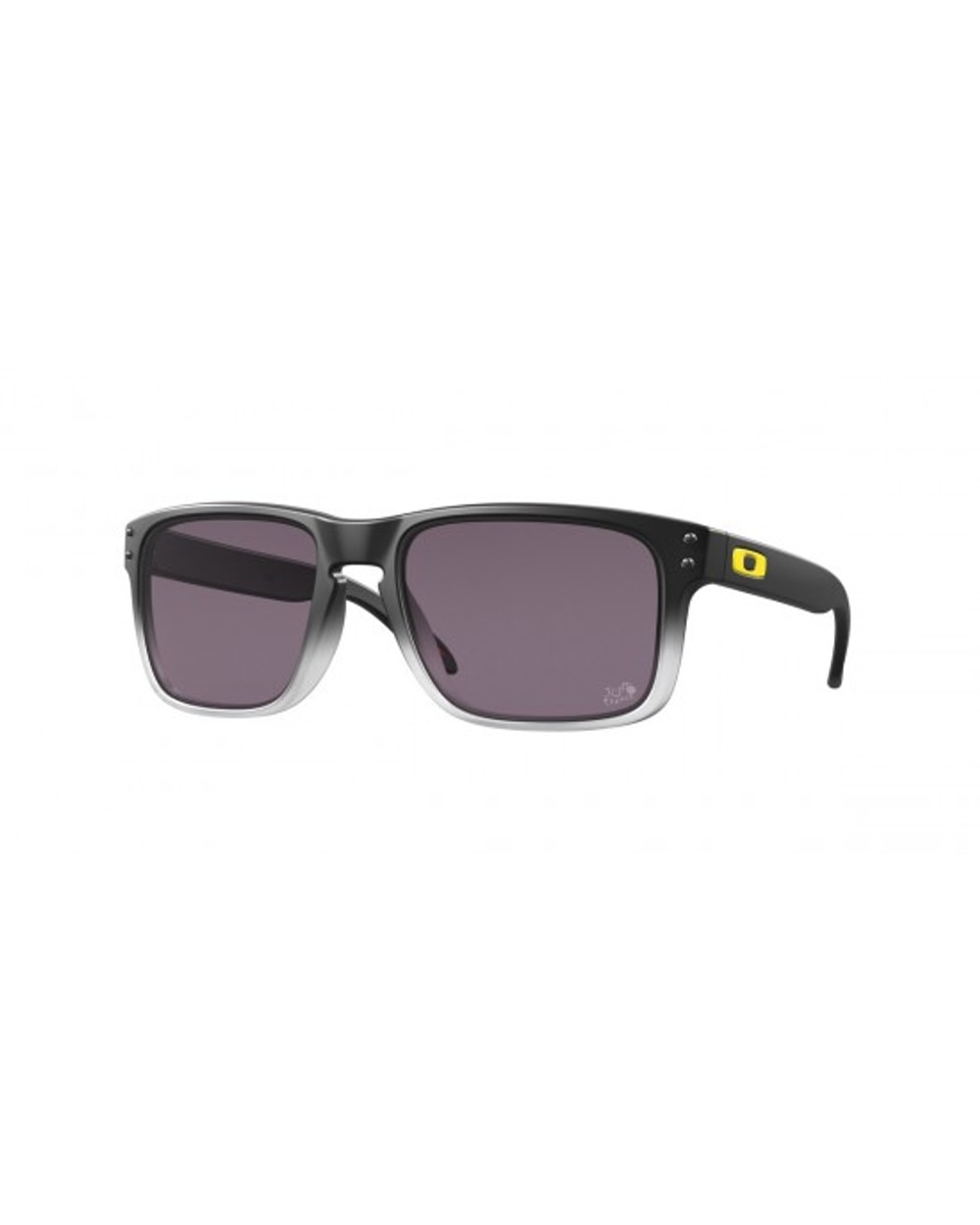 Oakley Holbrook Prizm Sunglasses