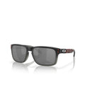 Oakley Holbrook Troy Lee Designs Series
