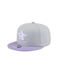 Houston Astros Grey/Purple 2-Tone 9FIFTY Snapback Hat