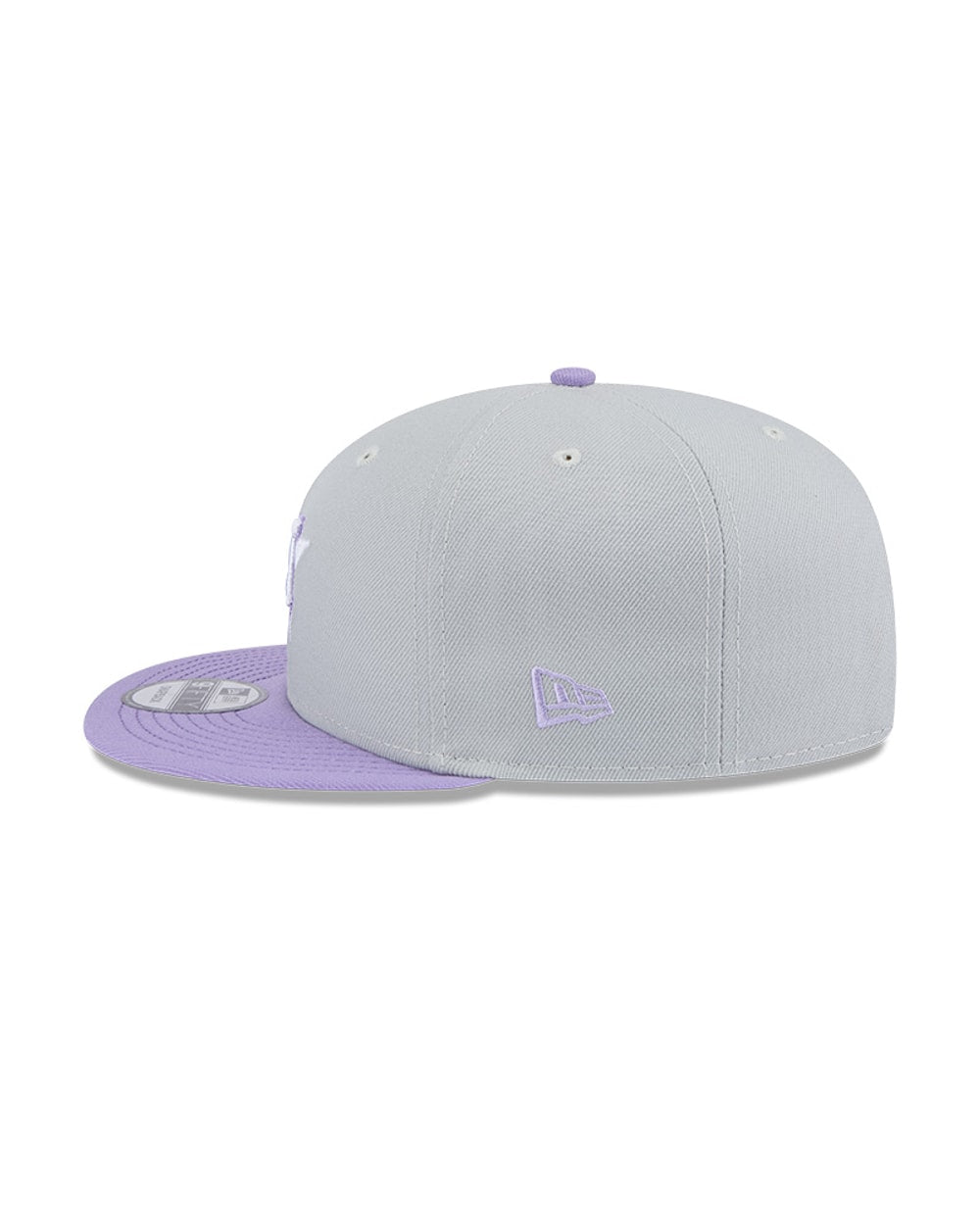 Houston Astros Grey/Purple 2-Tone 9FIFTY Snapback Hat