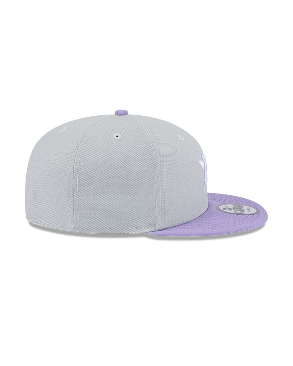 Houston Astros Grey/Purple 2-Tone 9FIFTY Snapback Hat