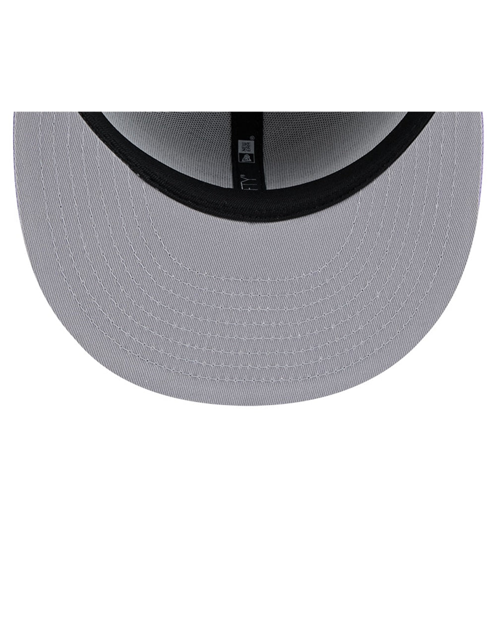Houston Astros Grey/Purple 2-Tone 9FIFTY Snapback Hat