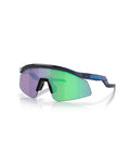 Oakley Hydra Prizm