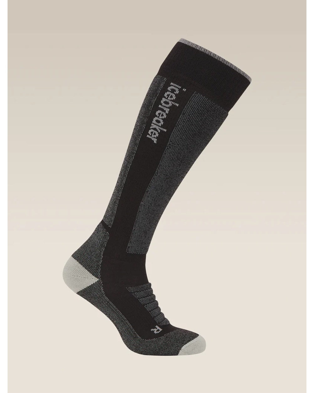 Icebreaker Men's Merino Ski+ Medium Over The Calf Socks