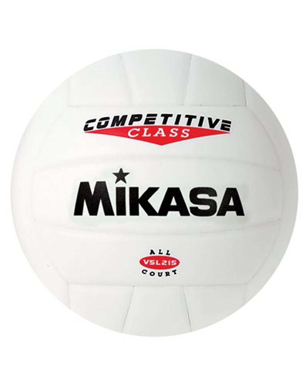 Indoor/Outdoor Volleyball