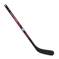 Inglasco Washington Capitals NHL Mini Comp
