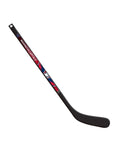 Inglasco Washington Capitals NHL Mini Comp