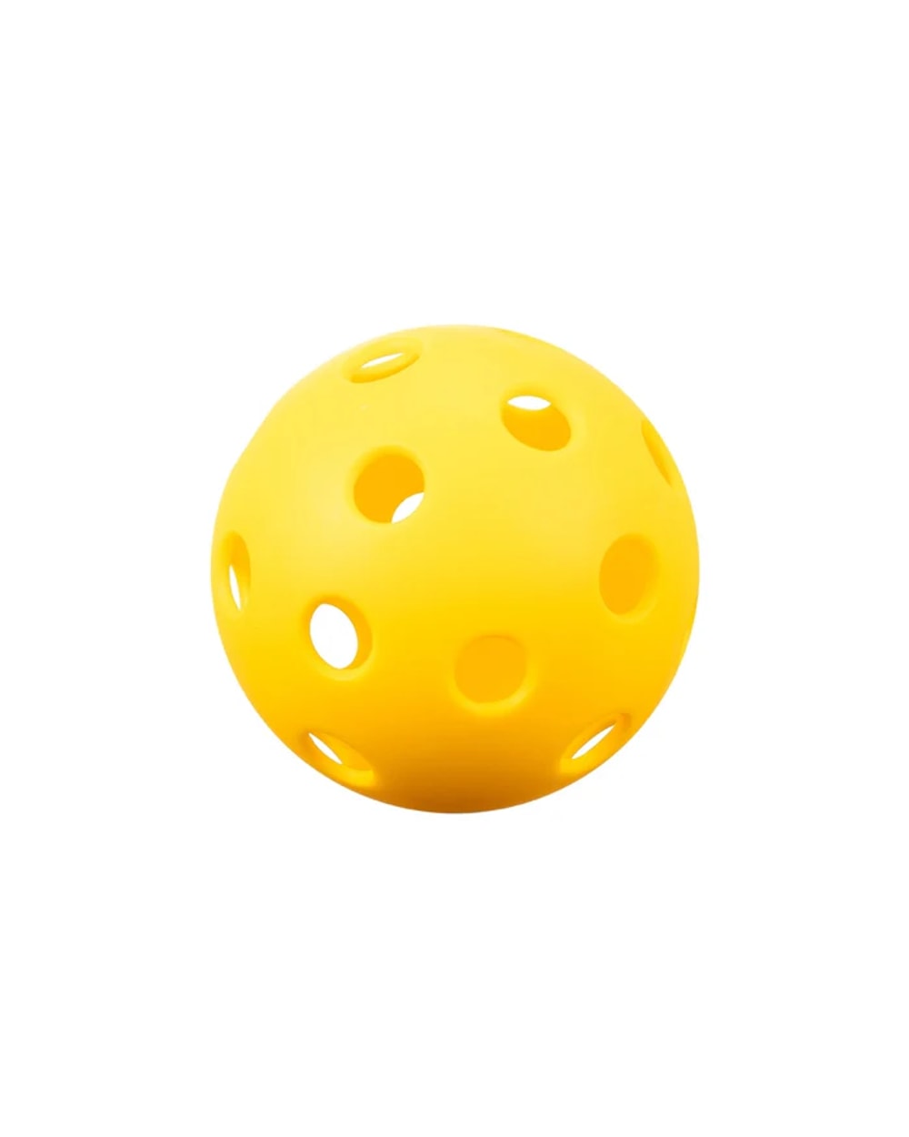 Joola Essentials Dash Pickleball Kit