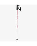 Salomon Junior Kid's Brigade Alpine Poles
