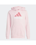 Kids Essentials 2-Color Big Logo Cotton Hoodie