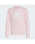 Kids Essentials Big Logo Cotton Sweatshirt