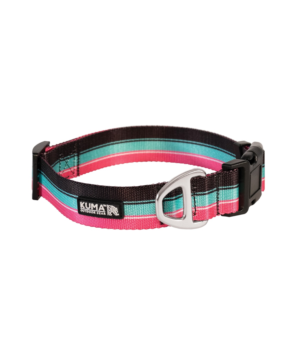 Kuma Backtrack Dog Collar - VICE