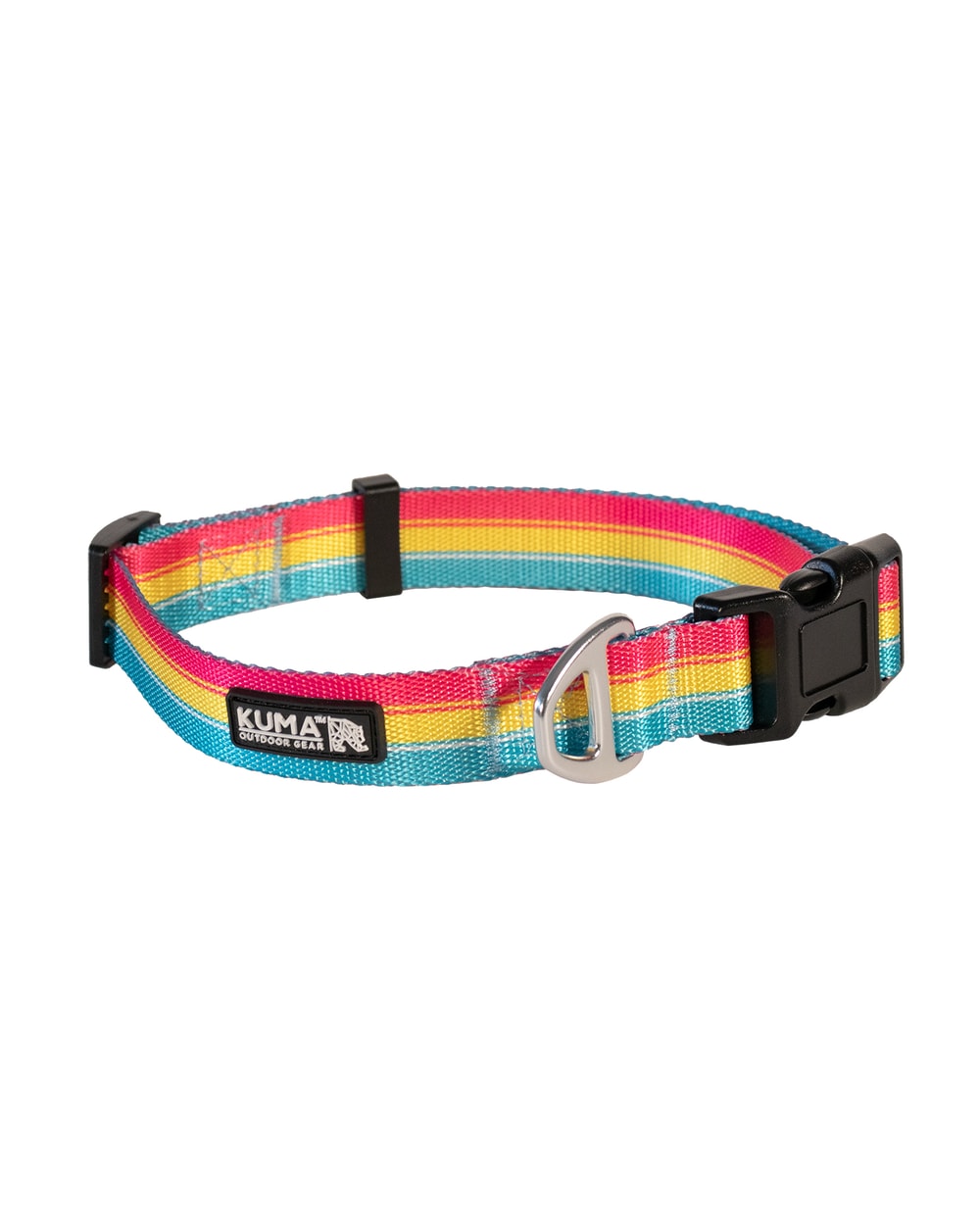 Kuma Backtrack Dog Collar - LOLLIPOP