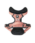 Kuma Lazy Bear Dog Harness - FLAMINGO