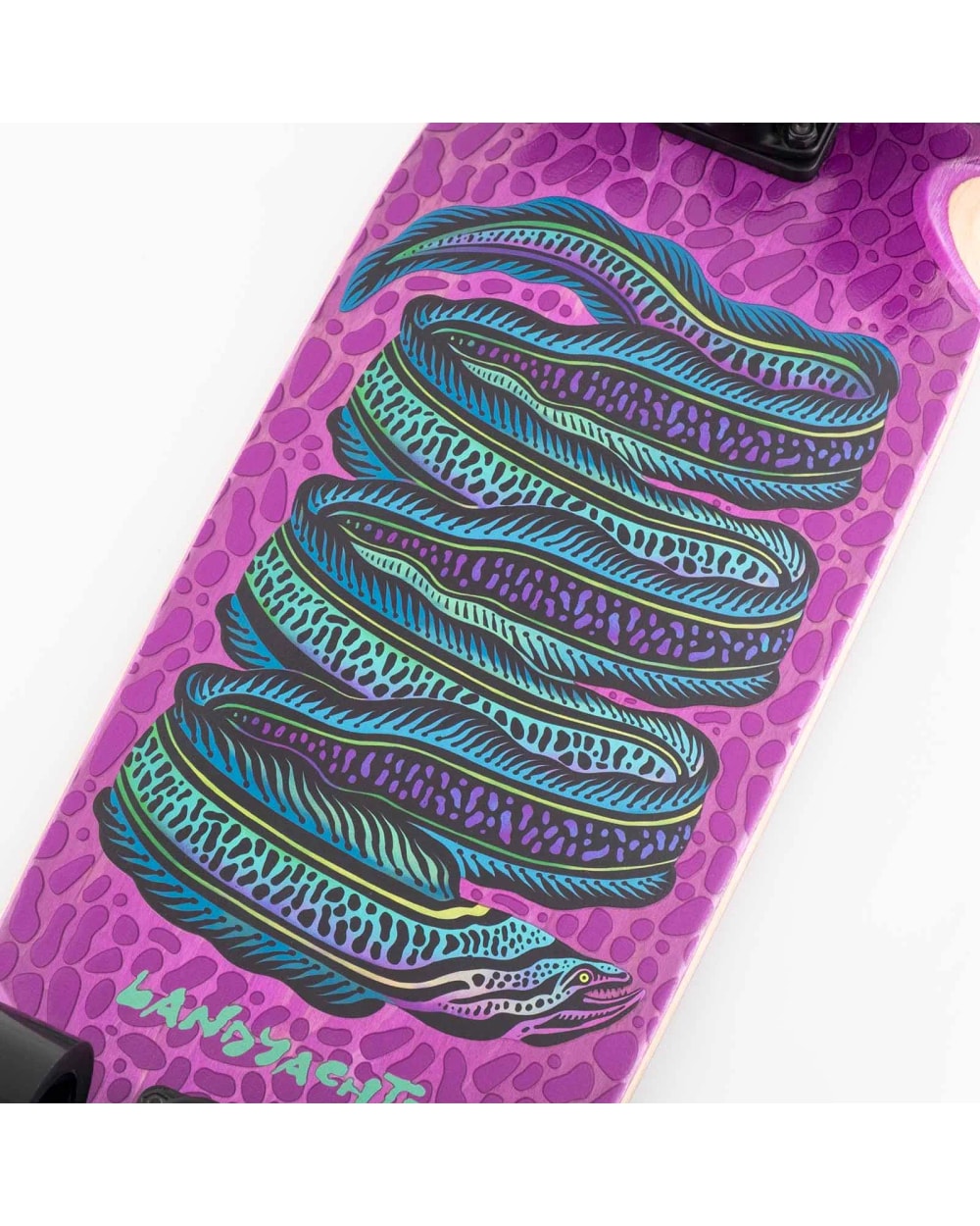 Landyachtz Dinghy Classic Fender - Moray Eel Longboard