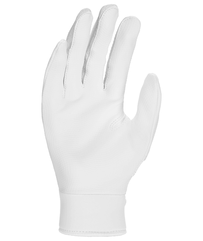 Nike Youth Alpha 2.0 Batting Gloves