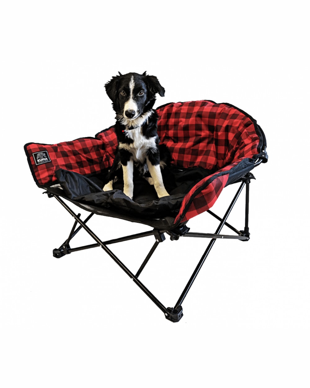 Lazy Bear Dog Bed