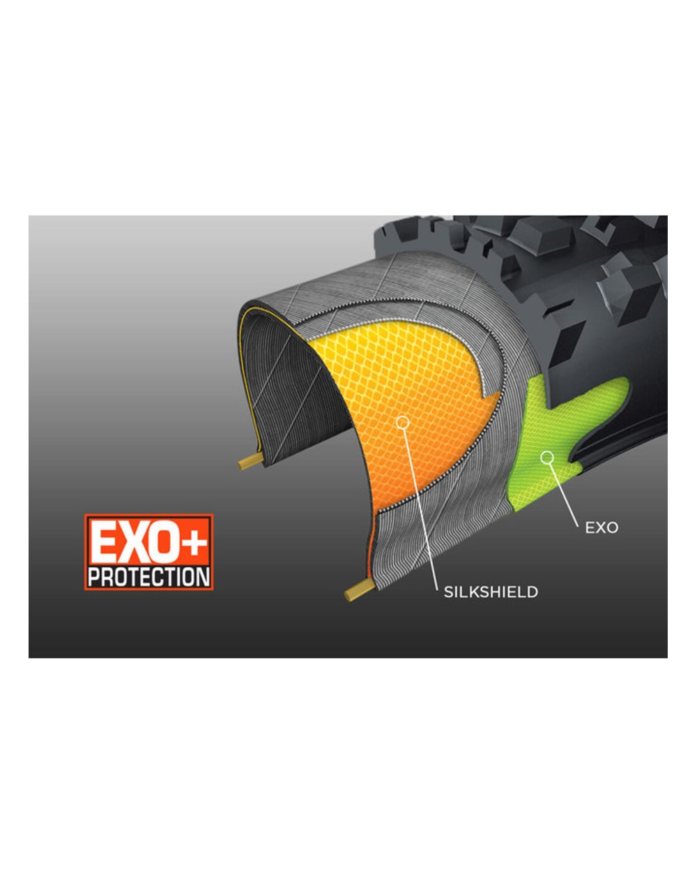 Maxxis Assegai EXO+ Tire Black