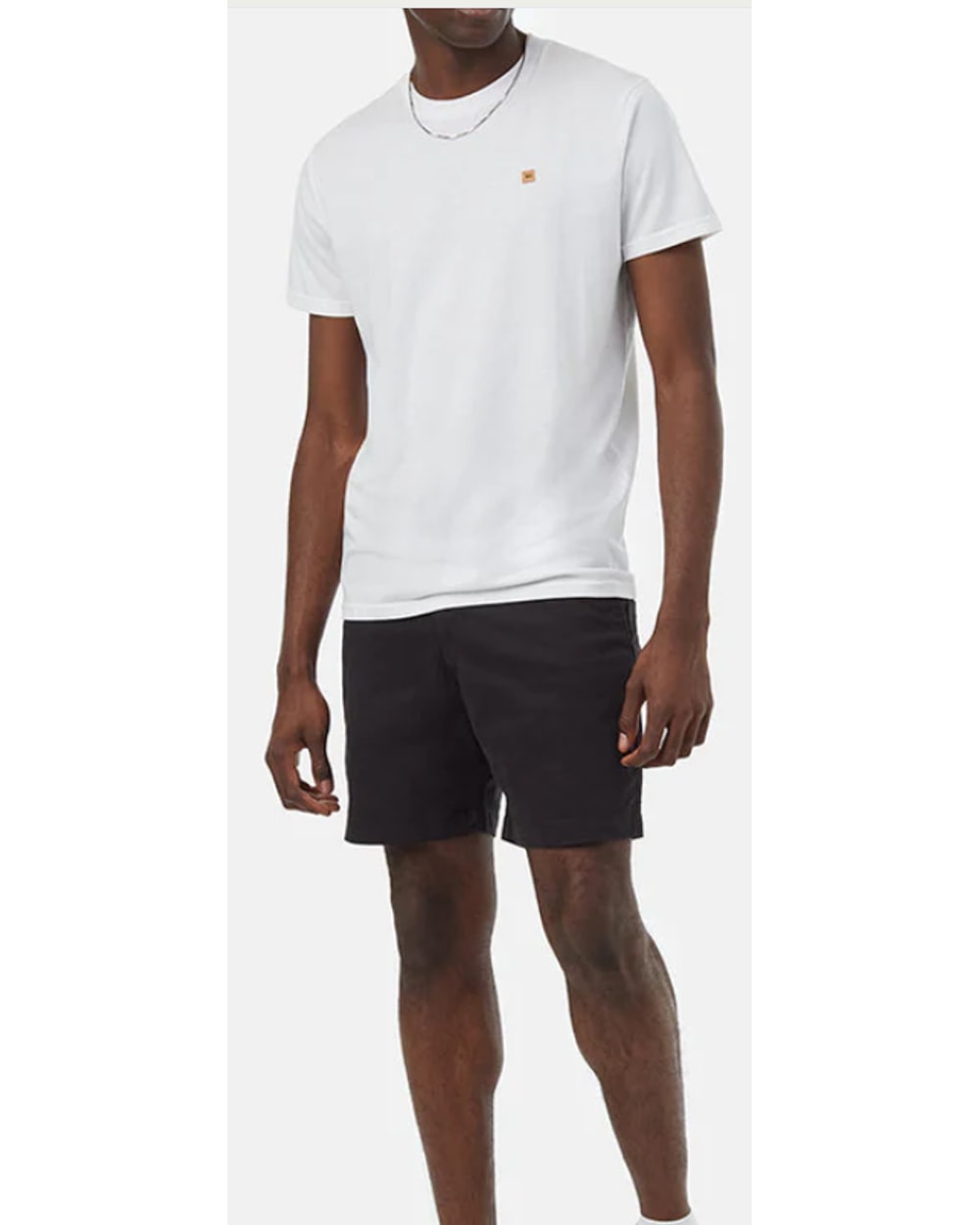 Tentree Men's 7" Twill Latitude Short