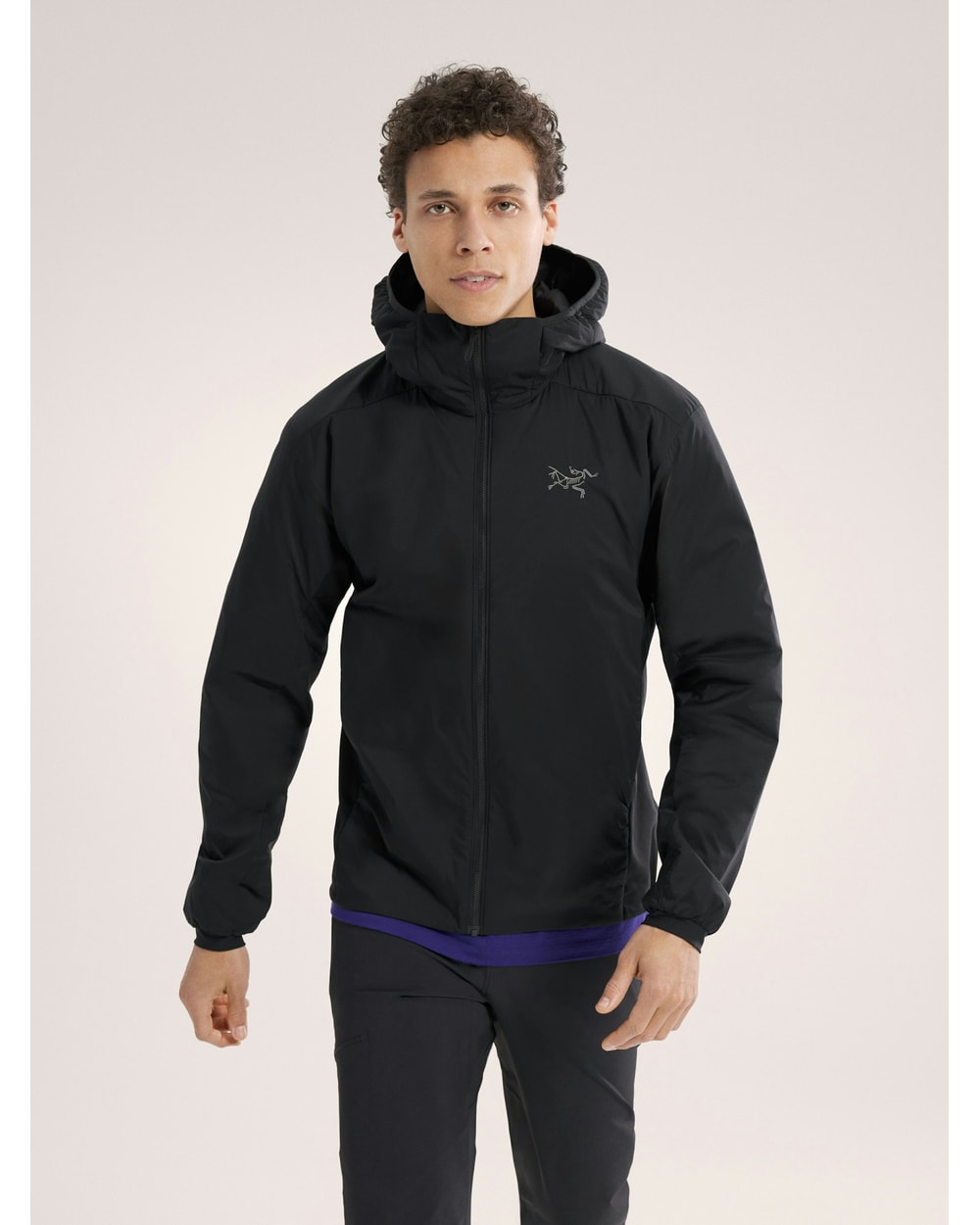 Arc'teryx Men's Atom Hoody