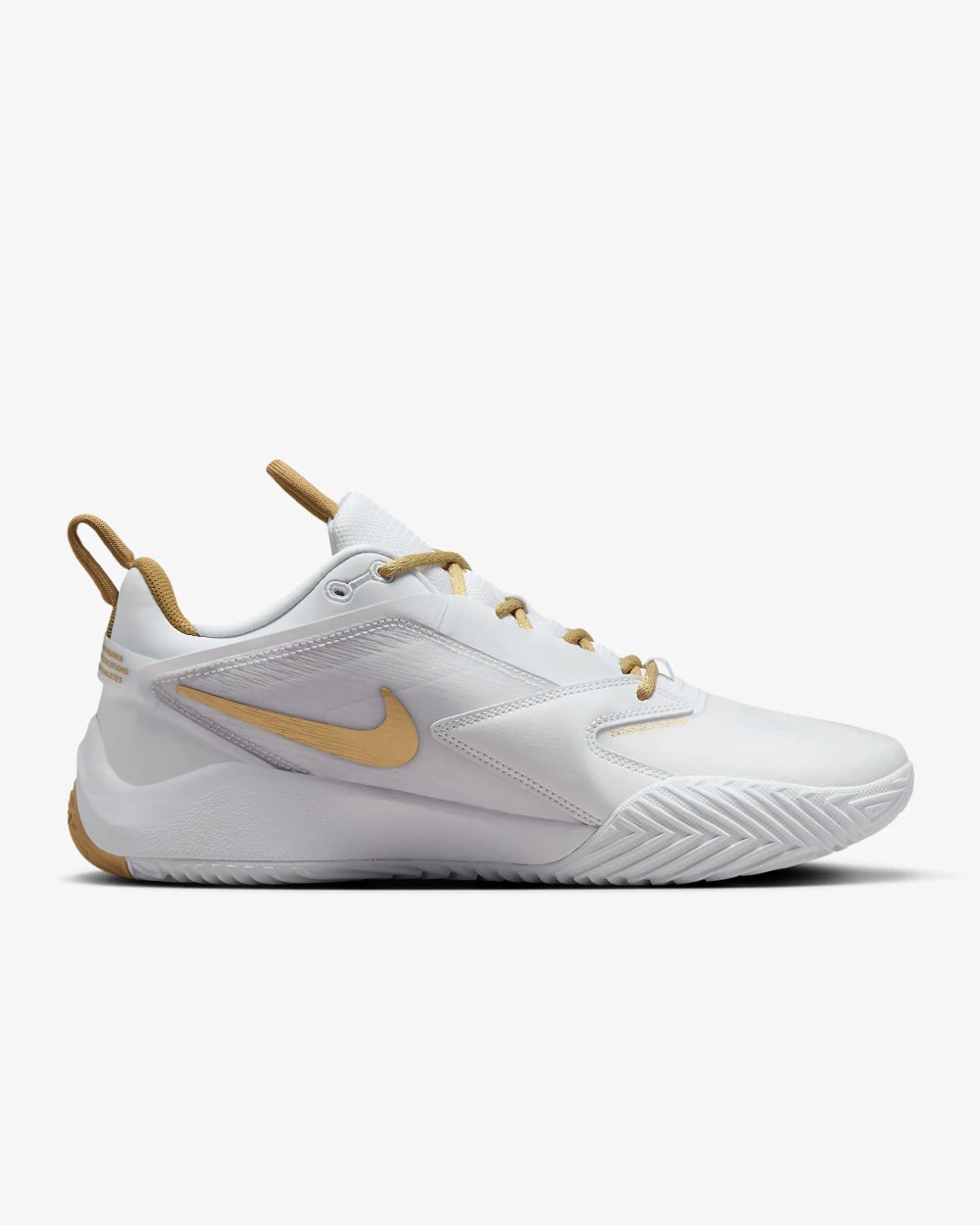Nike Men's HyperAce 3 Volleyball Shoes