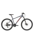 Diamondback Ridgeback Mountain Bike - Men's