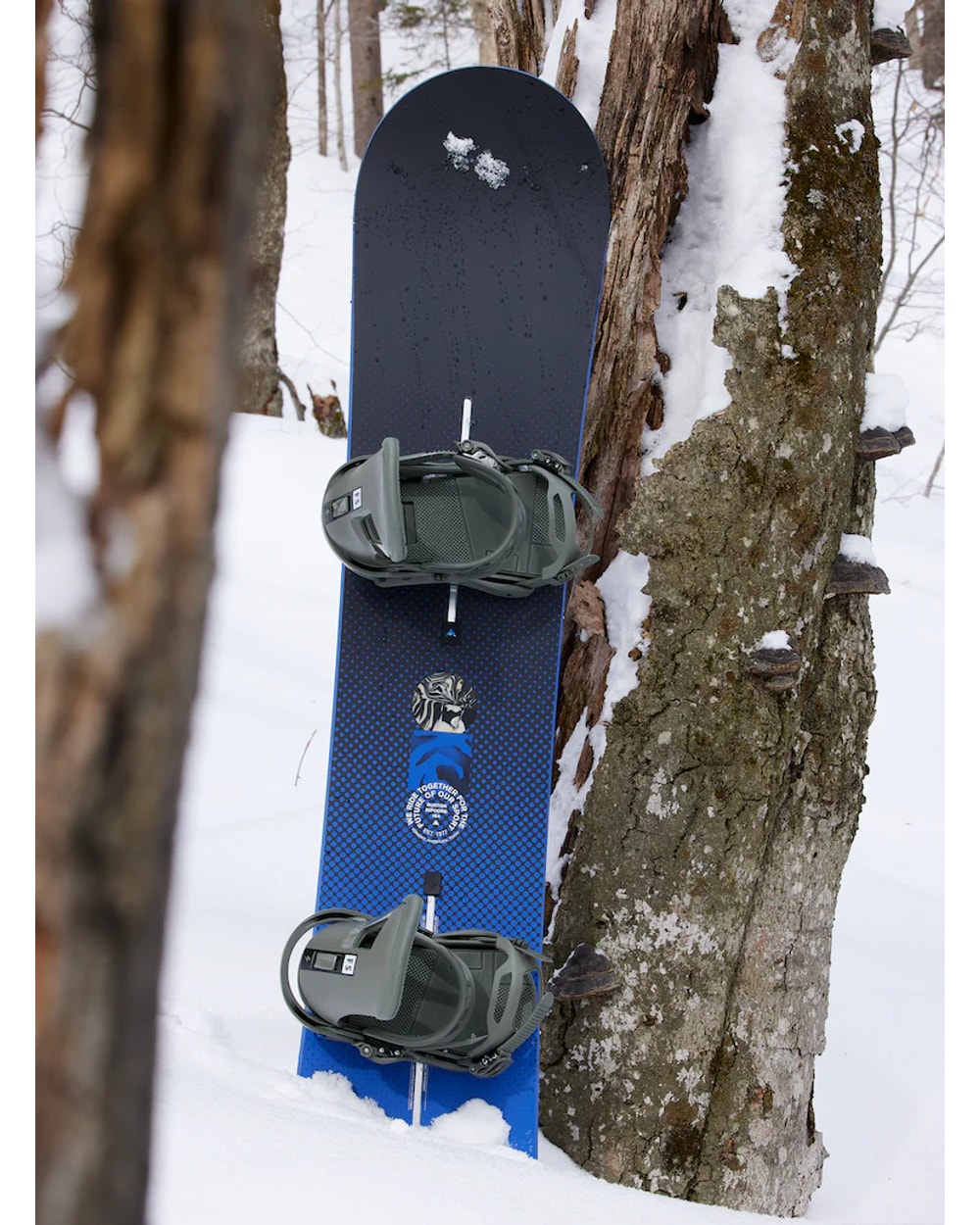 Men's Ripcord Flat Top Snowboard - 2025