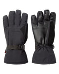 Men's Robson 2.0 Insulated Gloves