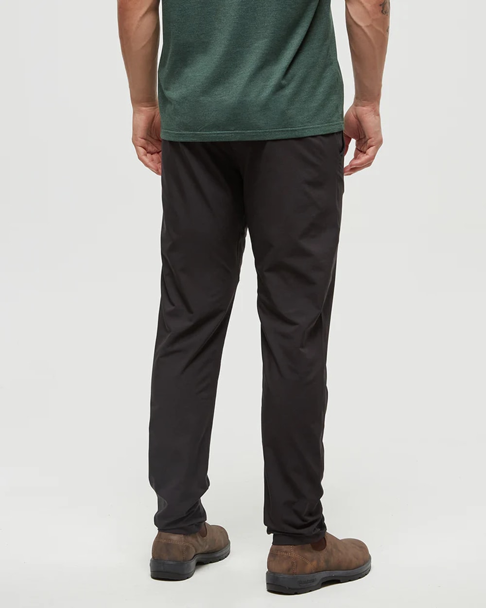 Tentree Men's Simcoe InMotion Pant