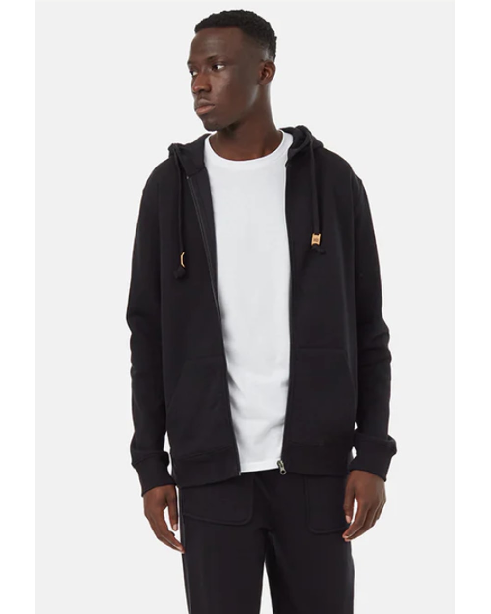 Tentree Men's Reynard Zip Hoodie