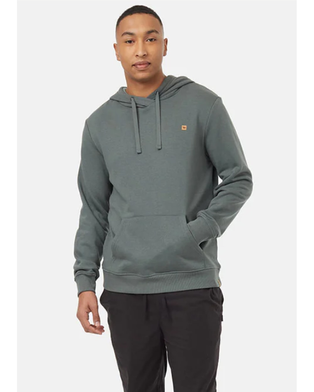 Tentree Men's Treefleece Reynard Hoodie