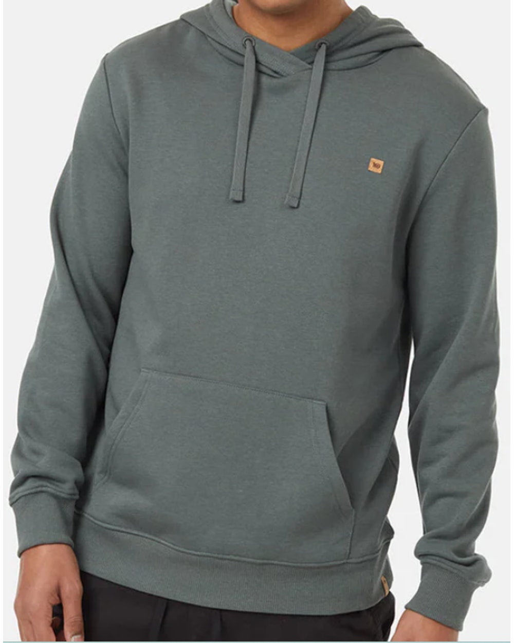 Tentree Men's Treefleece Reynard Hoodie