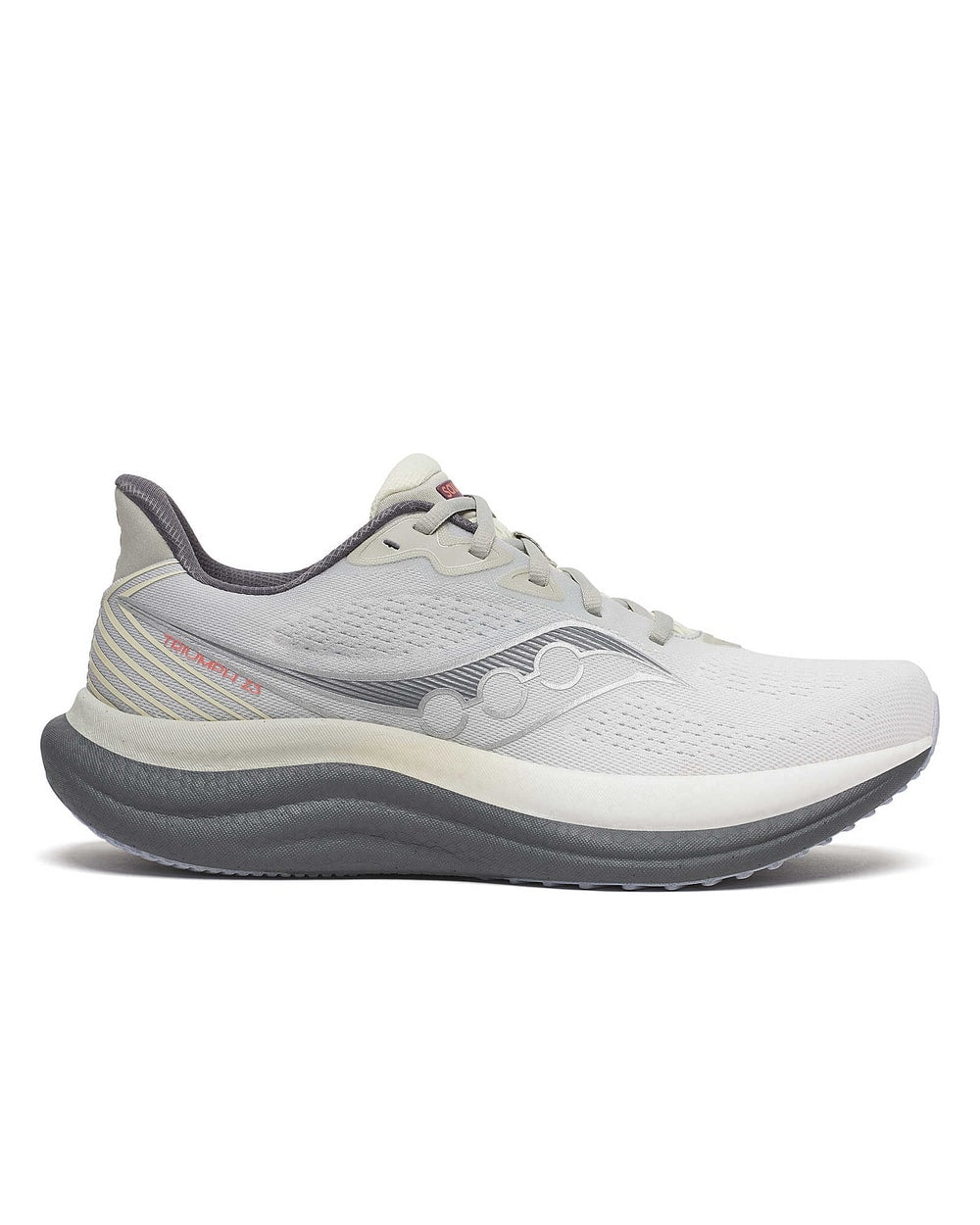 Men's Triumph 23 Running Shoes