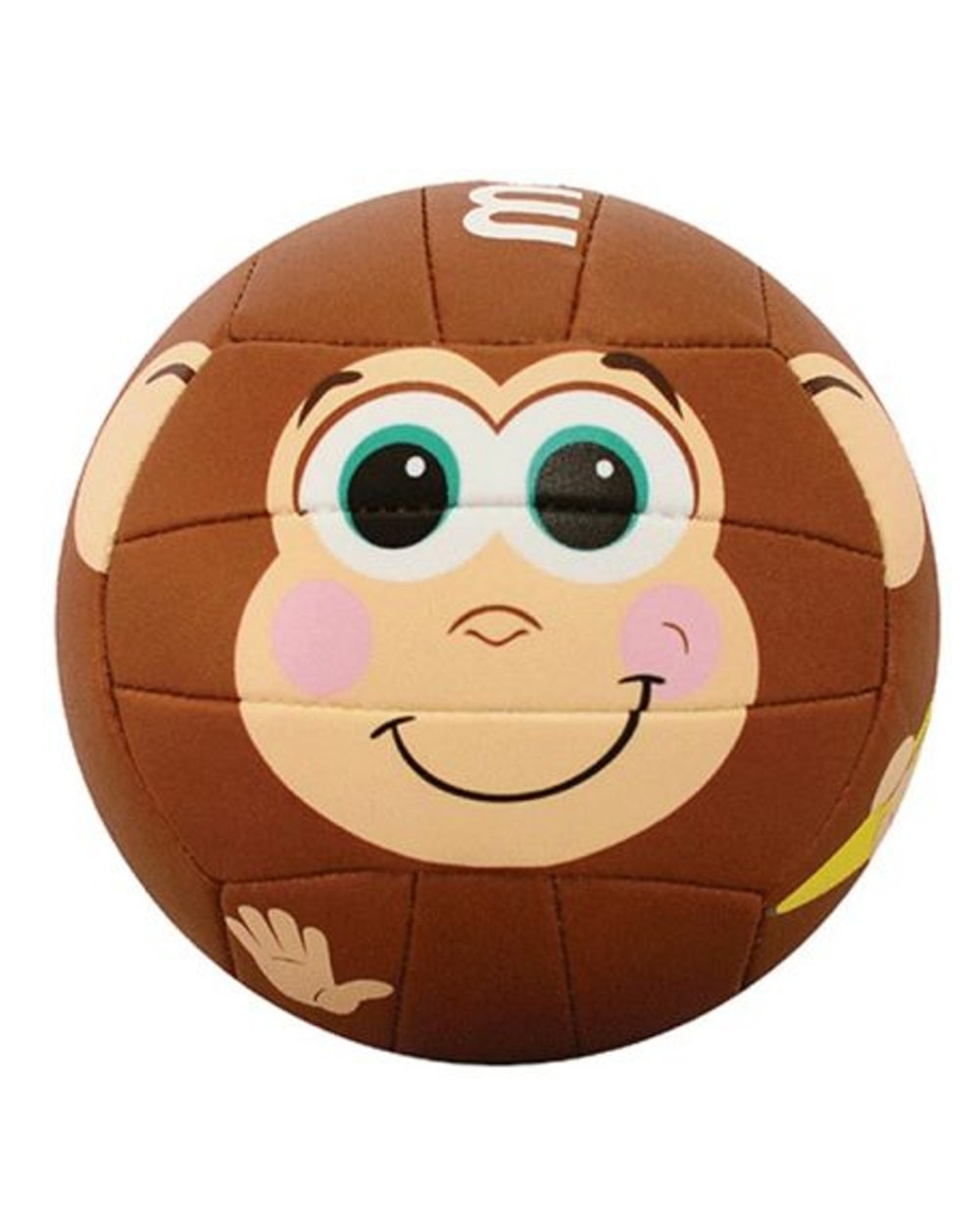 MS500 Volleyball