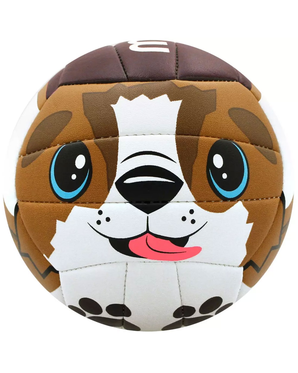 MS500 Volleyball