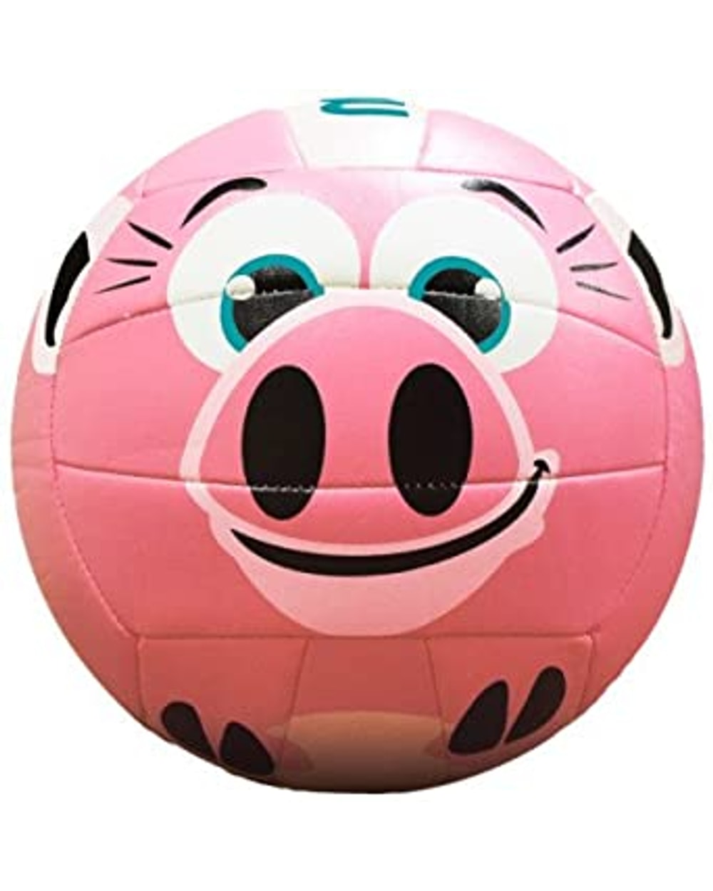 MS500 Volleyball