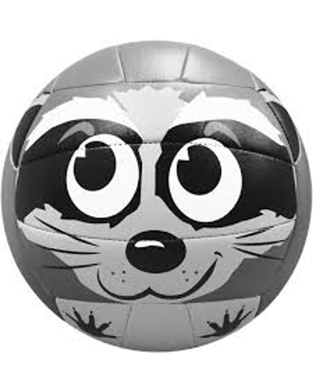 MS500 Volleyball