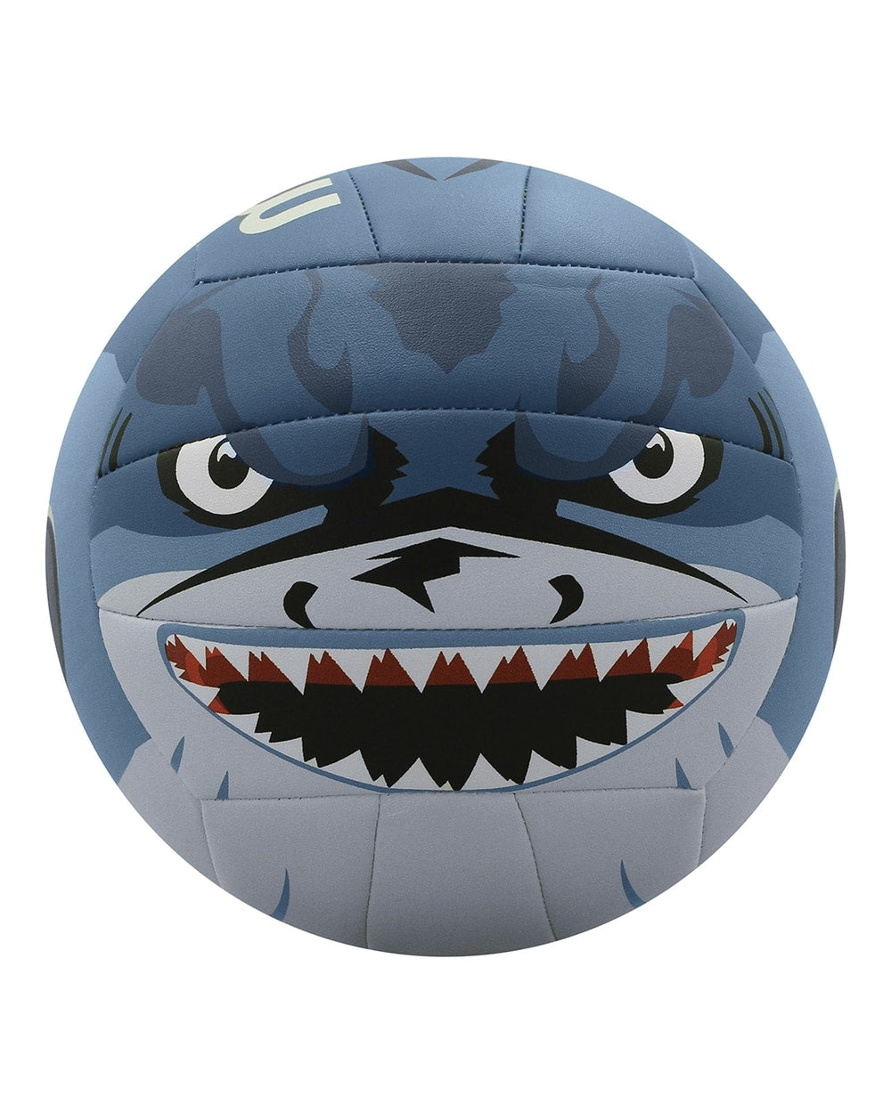 MS500 Volleyball
