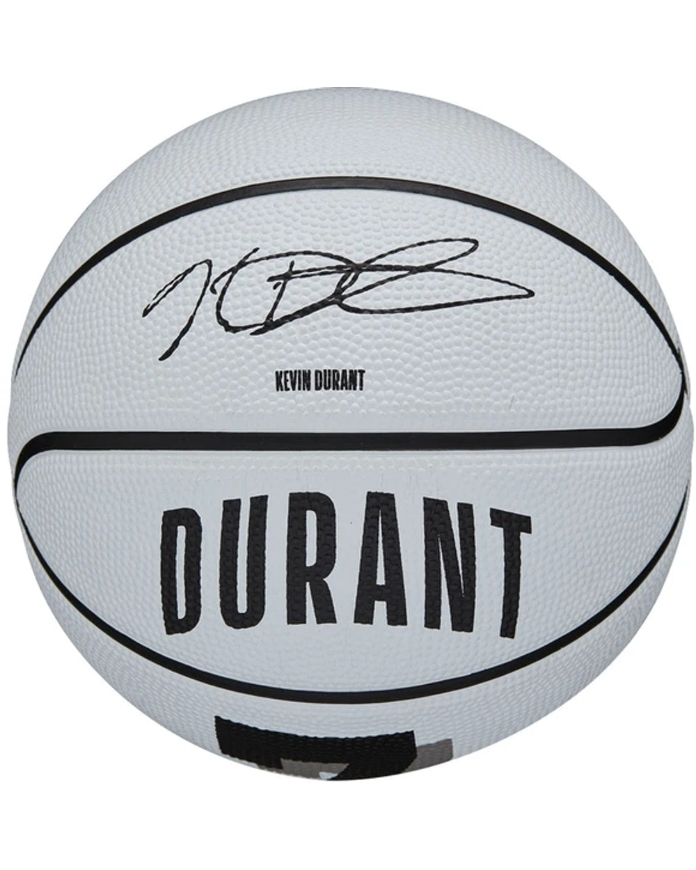 NBA Player Icon Mini Basketball