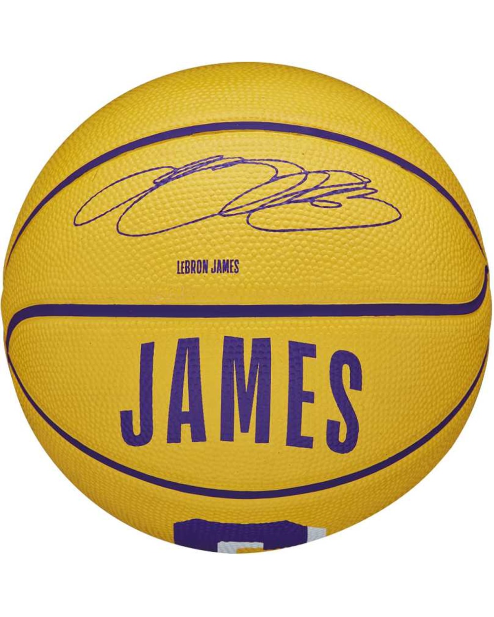 NBA Player Icon Mini Basketball