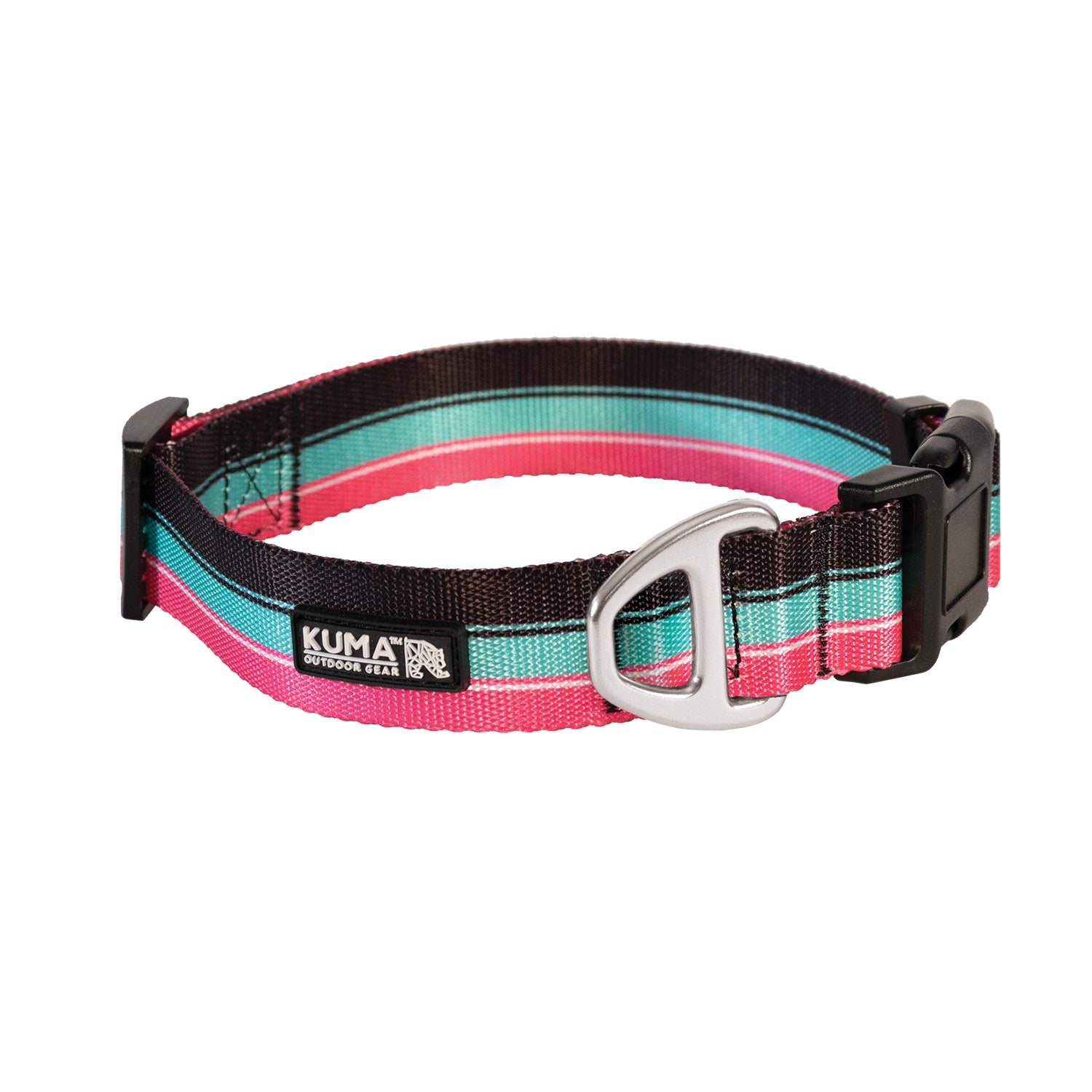 Kuma Backtrack Dog Collar - VICE