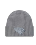 NFL Knit Colour Pack Grey Toque
